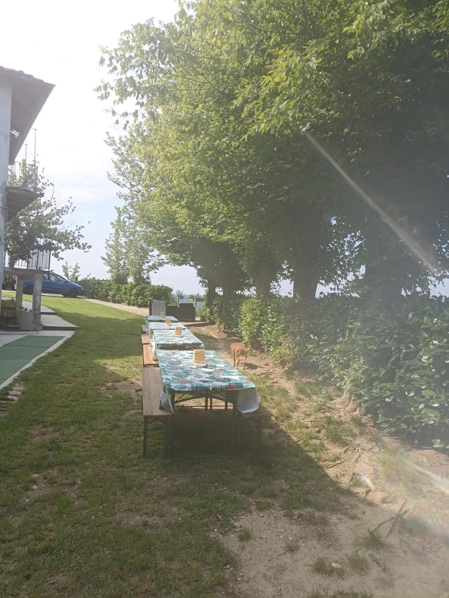 La Terrazza Lejlighed Asti Eksteriør billede